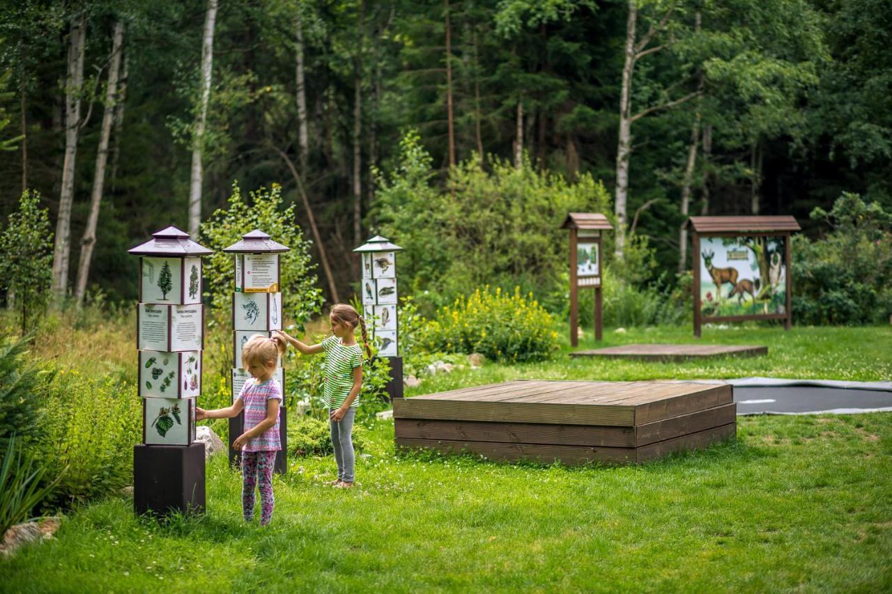 Drewniana Roza Domki Karkonosze Piechowice  Extérieur photo