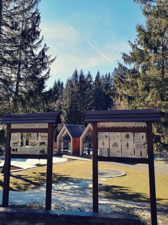 Drewniana Roza Domki Karkonosze Piechowice  Extérieur photo