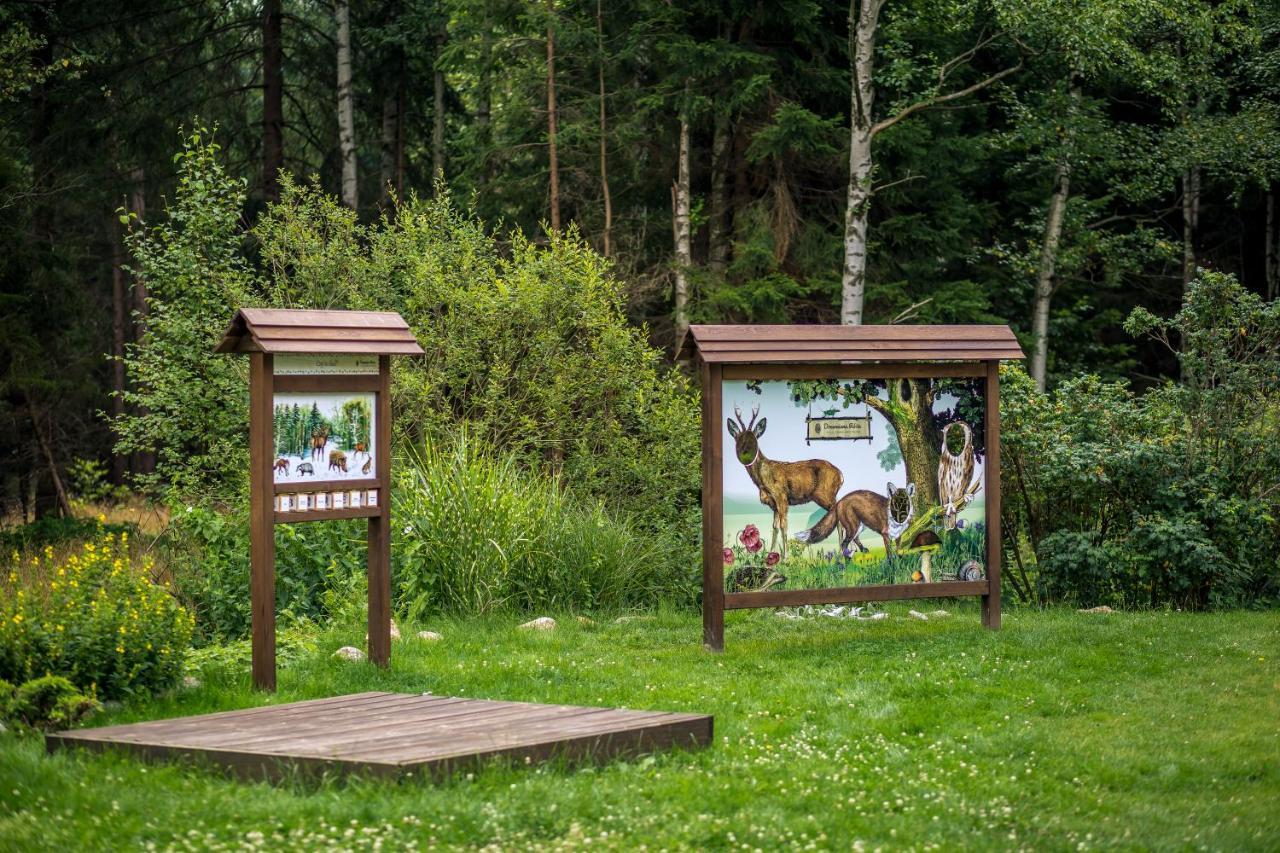 Drewniana Roza Domki Karkonosze Piechowice  Extérieur photo